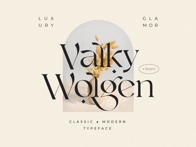Valky Font - Classic Modern Typeface headlines elegant font classic font branding font logo fonts logo font branding design graphic design typography display font modern font retro font vintage font font design lettering typefaces typeface fonts font