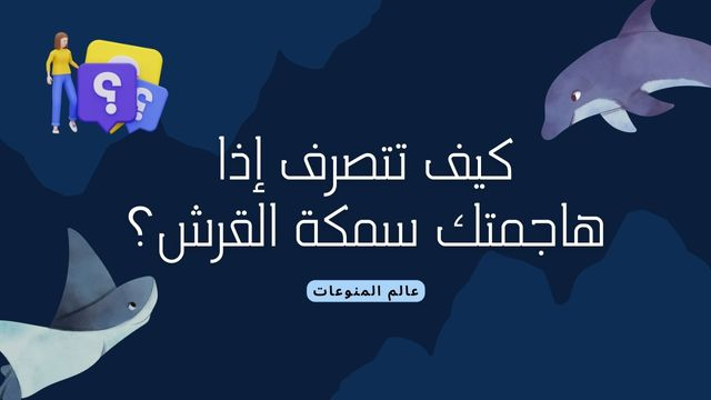كيف تتصرف في حال هاجمك قرش مفترس؟