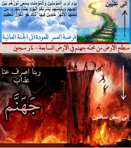 فرصة--العمر.png