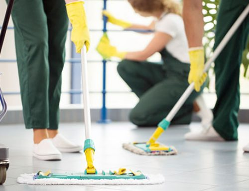 شركة تنظيف في الشارقة |0545667540|خبرة سنين