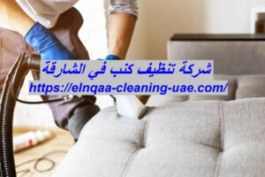 شركة تنظيف كنب في الشارقة